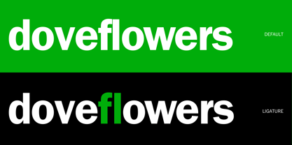 ITC Franklin Gothic LT Font Poster 6